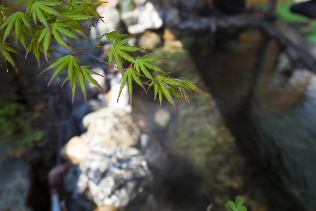 Puruke-No-Yakata Hotel Kawabata Shibetsu  Екстериор снимка